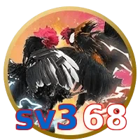 sv368